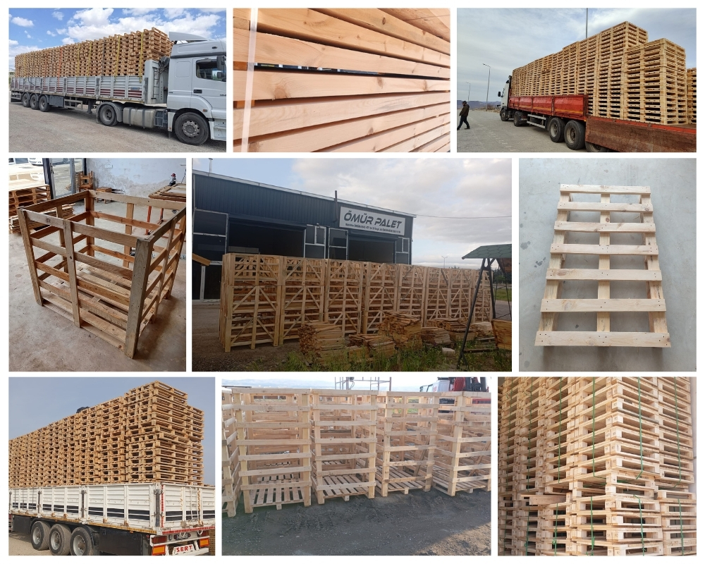 Asenray Houten Kisten, Europallets Groothandel Kopen